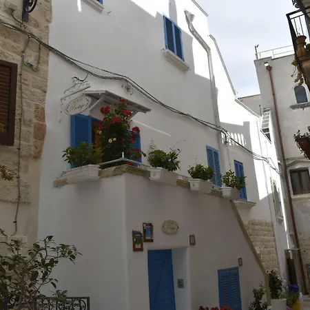 B&B Prestige-2
